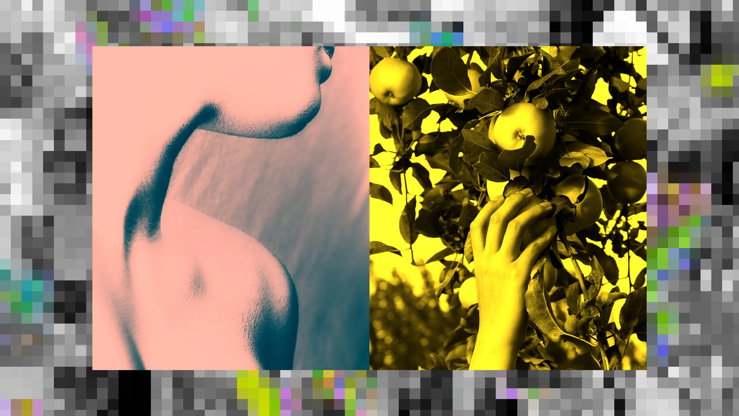 Deepfake Porn Reveals a Perverts Dilemma