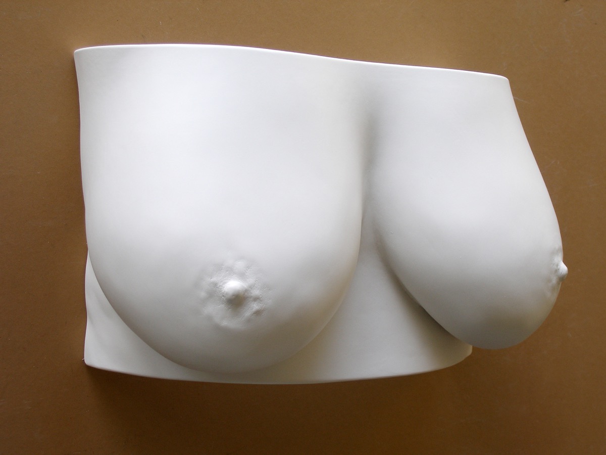 Standard Breasts in Fibreglass