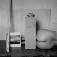 TARRAH KRAJNAK : MASTER RITUALS II: Westons Nudes : Master Rituals II: Westons Nudes