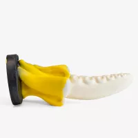 Banana X Tentacle Dildo