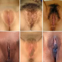 Vulva