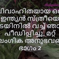 Malayalam Sex Story -I Fucked a Married Indian Woman in Train and other Sex Experiences Part 2