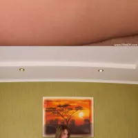 Femjoy