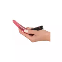 Anal vibrator You2Toys Temptation Ruby