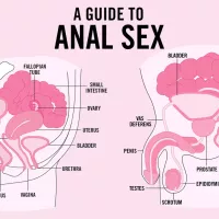 Anal Sex: Safety How tos Tips and More