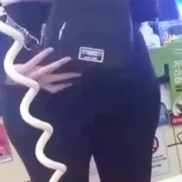 Pokimane Pussy Camel Toe And Booty Compilation Leak