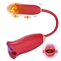Hot Selling 2 in 1 Lesbian Sex Toys