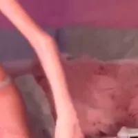 Pokimane Nude Leaked Masturbation Free Amateur Porn