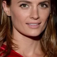Selena Gomez vs Stana Katic Rd 1 Jerk of Challenge: Brunette Porn