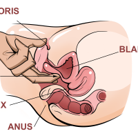 How to Give Her a Squirting Orgasm: The Complete Guide
