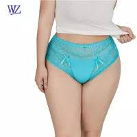 Sexy Womens Beautiful Panties Transparent Underwear Lace Big Butts Plus Size Womens Underwear