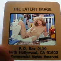 Barbara Schaeffer Busty NUDE WomanModel Vintage 35mm LATENT IMAGE SLI