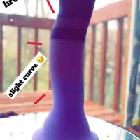 Blush Purple Rain Dildo Review: Its So Damn Good