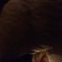 Bbblove419 onlyfans Gay Porn Videos 5