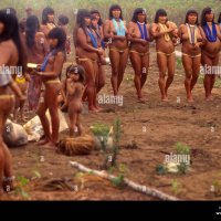 Waur or Wauja or Uaurs Indigenous People in the region near the Upper Xingu River. Amazon rain forest Brazil. Women dancing Stock Photo