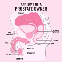 Anal Sex: Safety How tos Tips and More