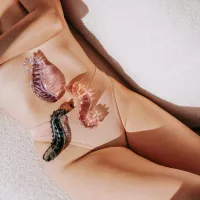 DILDOS