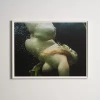 Mariken Wessels Nude Water and Green Leaves V 2018