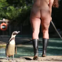 London Zoo employees streak through the park for charity
