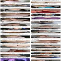 TW Pornstars