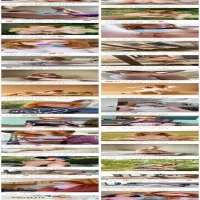 TW Pornstars