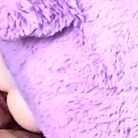 Teddy Bear Plushie Fuck