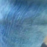Atlanta Pof Thot With Anal And Cumshot