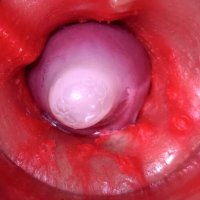 Camera Inside Pussy Powerfull Cum in Pussy Best Internal Asmr in 4k: Gay Porn