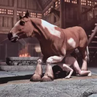 Fucking the stallion