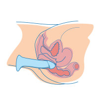 Anal Dildos: Everything You Need To Know