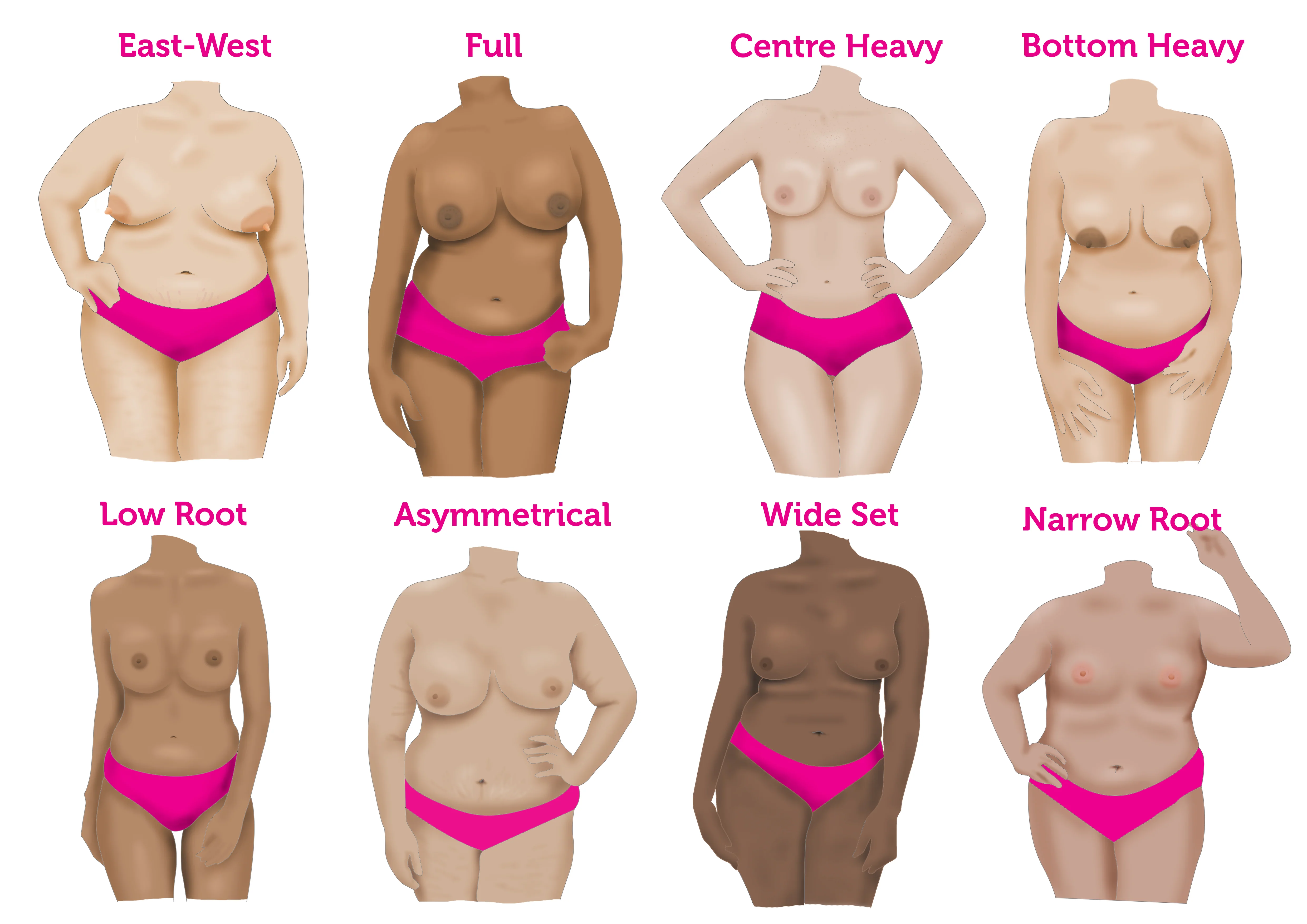 what type of boobs do you have