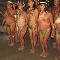 Amazon Task: Ecuadors Waorani Fight for the Rainforest