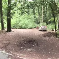 Notgeiler Bauer Bumst Notgeile Sau Auf Dem Feld: German Amateur Porn