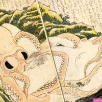 Tentacle erotica